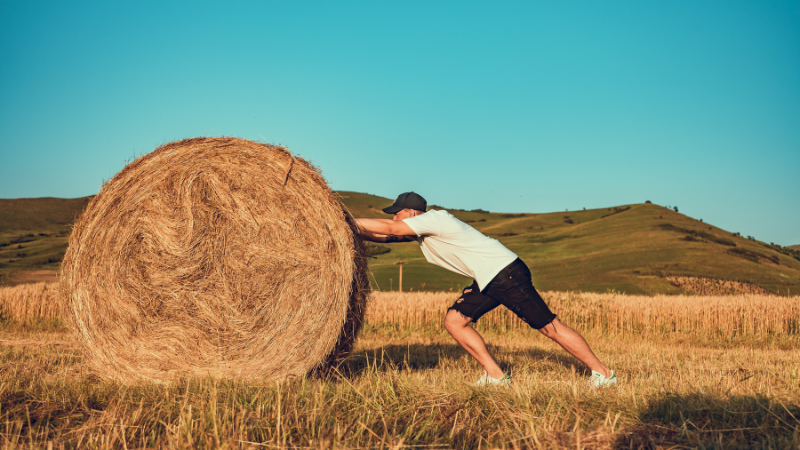 丸太を押す努力